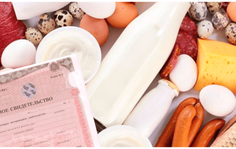 2c23384f61da2bf50670321b317b4682_1024_410