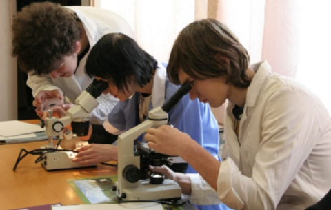 83dd456b13304fb04553103b25dd65e7_big