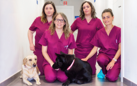 AdobeStock_224004217