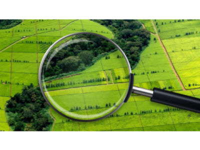 e938efb7269f7c95b6cb5ab9d939a641_1024_768_cropped