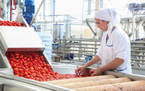 pererabotka-selskohozyajstvennoj-produkcii